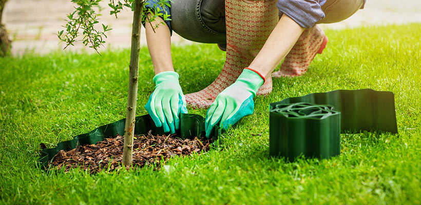 A clean edge around trees protects trunks from mower and trimmer damage and gives you a tidy place for mulch.
