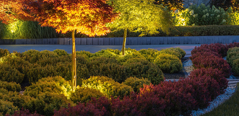 Curb appeal is not just a daytime concept. Lighting can make your property feel warm, safe, and more upscale without being too flashy.