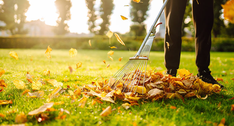 Fall is the best season to make big progress with your yard. Grass is happier, weeds are weaker, and the soil is more cooperative.