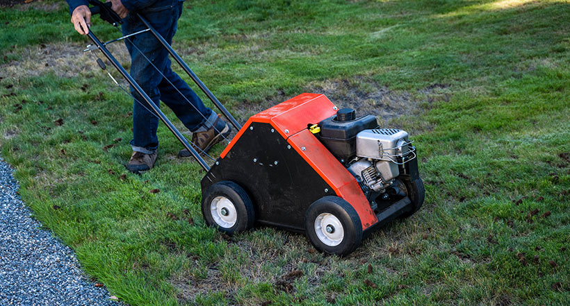 Core aeration removes small plugs of soil across the lawn and drops them back on top. It looks a little odd for a few days, but it is one of the most beneficial things you can do for a tired lawn.