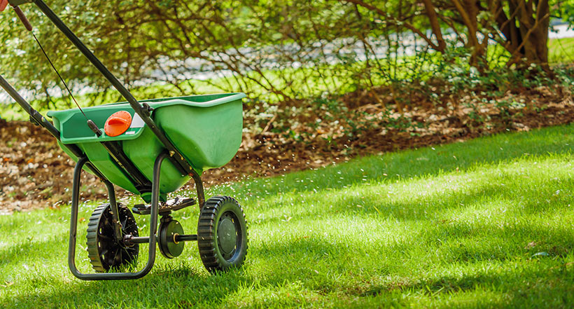 Many people think of fertilizer as a spring ritual, but for cool season lawns, the most important feeding typically takes place in fall.