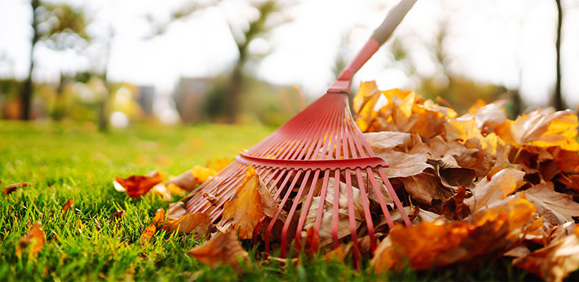 Your lawn can handle some leaf confetti, but you'll want to avoid leaving a soggy blanket of leaves throughout the winter.