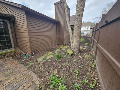 (Before) 