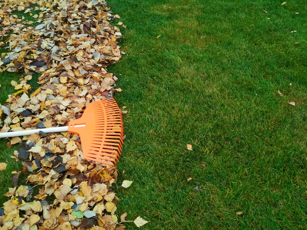 Fall Lawn & Landscape Preparation