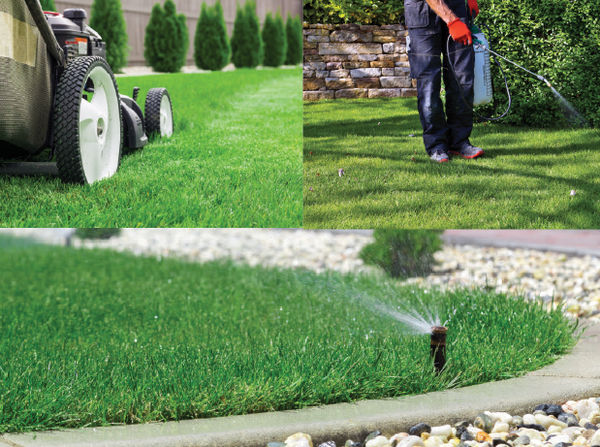 Three Key Factors to Maintaining a Healthy, Beautiful Lawn