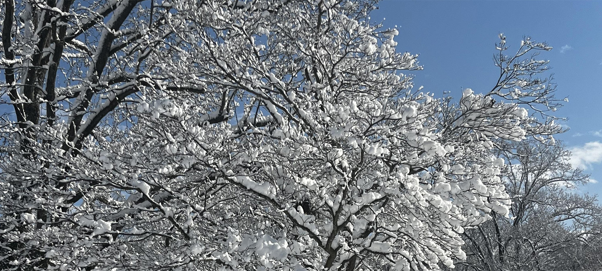 And remember, snow has been coming a wee bit earlier in recent years. Don't be surprised if you find yourself shoveling in November!