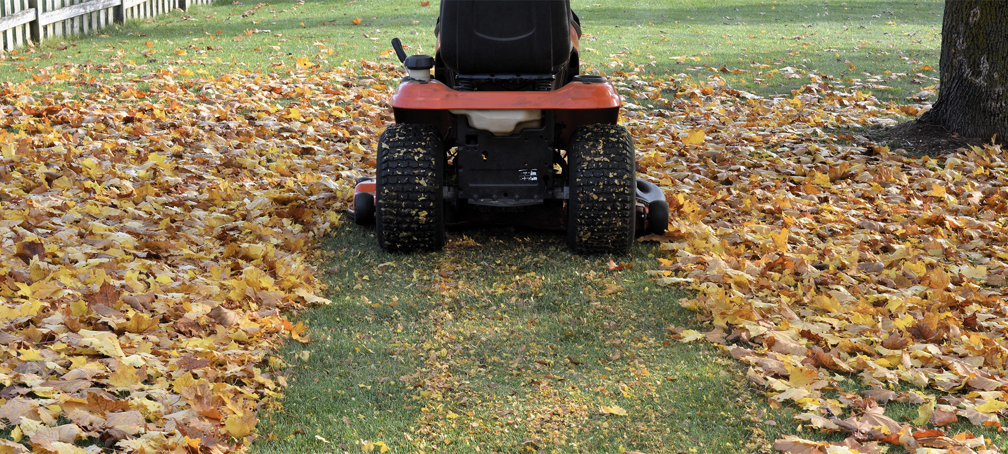 You can also choose to turn your leaves into mulch by grinding them up with a lawn mower.