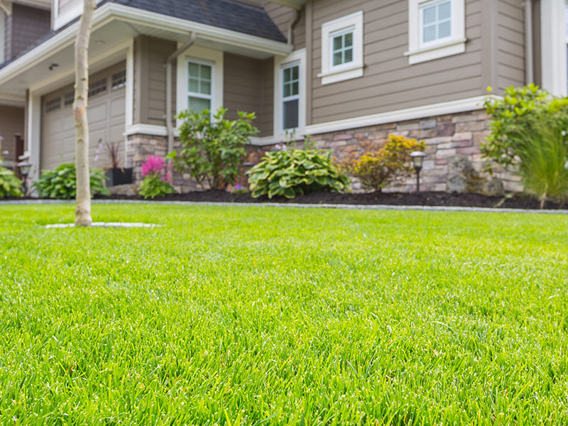 Lawn Mowing & Maintenance