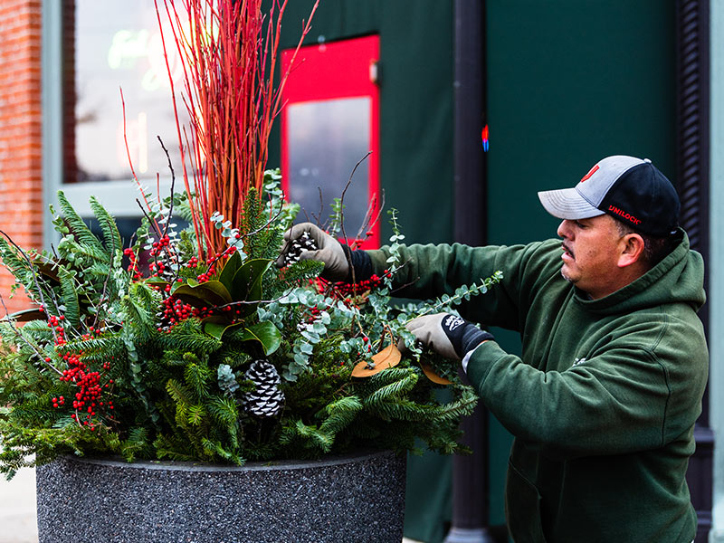 Seasonal Décor